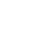 Topneu