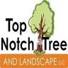 Top Notch Tree And Landscape