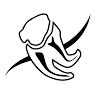 Torrance Endodontix