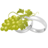 Tosca Vineyard, Weddings & Events