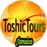 Toshic Tours Jamaica Private Airport Transfers & Excursions
