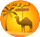 TOURS 4X4 MOROCCO