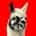 Towbin Kia Service and Parts