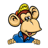 ToyChamp Geel