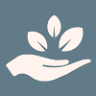 Tracey Hutcheon Counselling