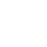 Trailiner Corporation