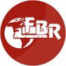 Transportes FBR Euroglobal