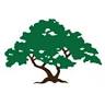 Traverso Tree Service