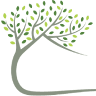 Treehouse Orthodontics