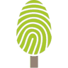 Zengővárkony's survivor, the sweet chestnut