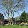 Tree Profiles Ltd