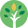 Chop Chop Tree