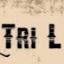 Tri L Lodging
