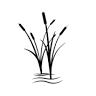 Tri Pond Variety