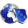 Triton Global Services, Inc.