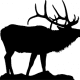 Trophy Mountain Outfitters