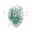 Tropic - Fleurs