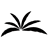Tropical Auto Group