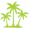 Tropical North Car Rentals (Port Douglas)