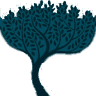 Trotter Jones, LLP