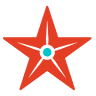 Trudy's Texas Star
