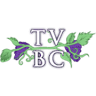 True Vine Baptist Church