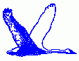 Trumpeter Swan Farm