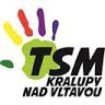 Technické služby města Kralup nad Vltavou