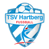 VIP-Tribüne TSV Hartberg