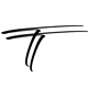 Avukat Tercan Turkmen