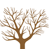 Turlock Walnut Company