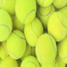 Tennisvereniging De Zweepslag