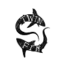 Twin Fin Film Co.