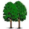Twin Hickory Rustics