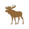 Twin Pines Lodge & Cabins