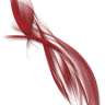 Twisted Salon Inc