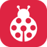 Ugur Detector
