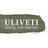 Uliveti Castel San Martino Italia