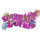 Ultimate Corals