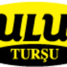 Ulus Kardesler Tursuculuk