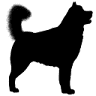 uMalamuta