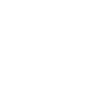 Marista University of San Luis Potosi