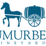 Umurbey Winehouse