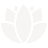 Unique Imports