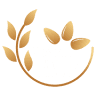 Upscale Nail Spa (Next to Domino’s)