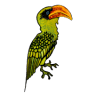 The Green Bird