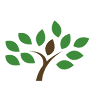 Urne bio Canada