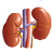 Unimed Durango Cardiología