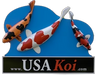USA Koi