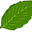 Bulk Menthol Crystals
